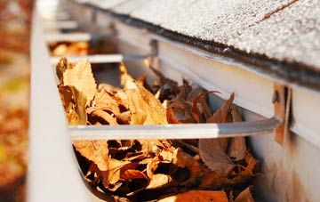 Horstead gutter cleaning companies