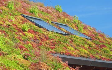 Horstead living roof systems