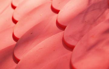 Horstead plastic roof costs