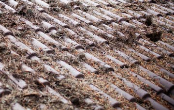 Horstead roof cleaning companies